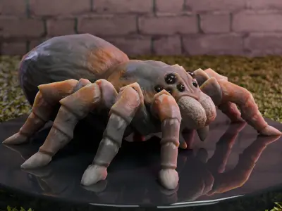 Spider Tarantula Low-poly 3D model