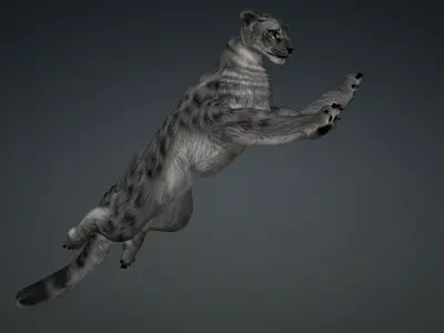 Leopard Hybrid A2 Free 3D model