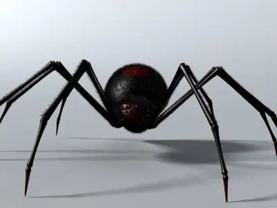 Black Spider Rigged Low-poly 3D model