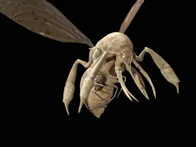 FlyingBugA3 Low-poly 3D model