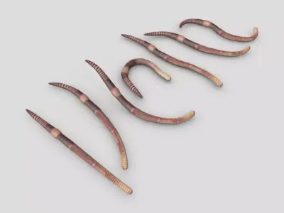 Earthworm set of wooden tusks Low-poly 3D model