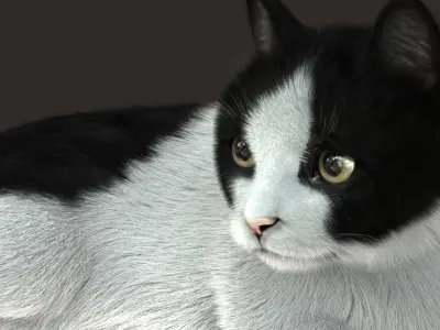Cat (2) (B&amp;W) (RIG) (FUR) 3D model