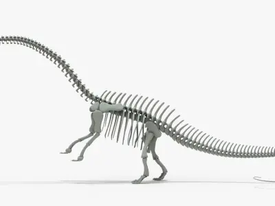 Brontosaurus Rigged Skeleton Low-poly 3D model