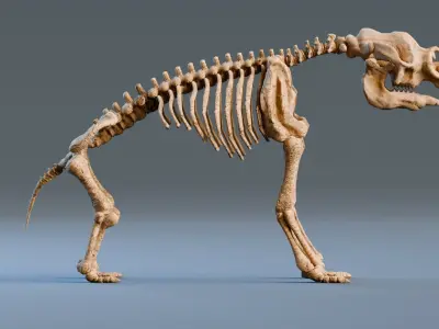 Relistic Mammals Fossil - Diprotodon Low-poly 3D model