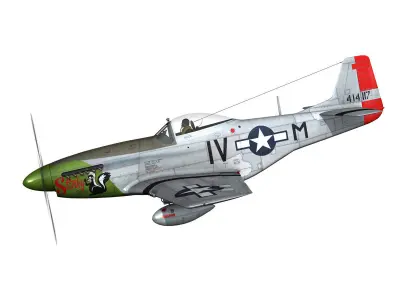 North American P-51D Mustang - Stinky 3D model