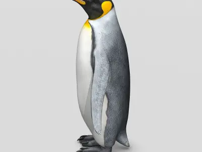 Penguin - King 3D model