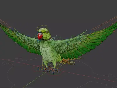 Parakeet parrot in flight 3D model