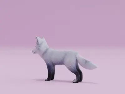 Artic Fox Light grey White Low-poly 3D model