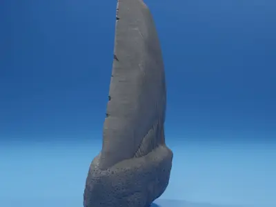 Megalodon Tooth Fossil 3D print model