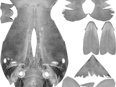 FishRig All Low-poly 3D model