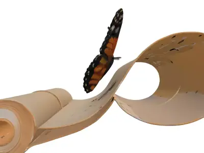 Butterfly on Old Scroll 3D Model Low-poly 3D model