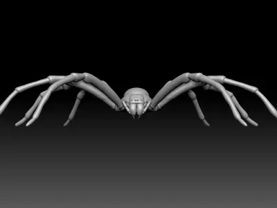Hunstman Spider Low-poly 3D model