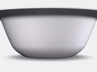 PARADISK bowl 3D model
