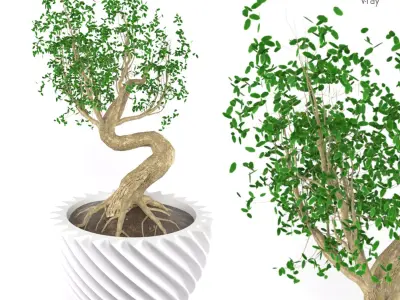 Bonsai tree Free 3D model buy