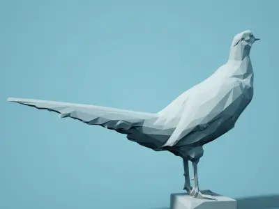 Bird Collection V2 Low Poly Models Low-poly 3D model