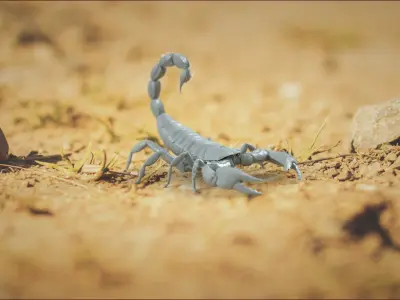 Black Emperor Scorpion Rigged Xgen 3D model