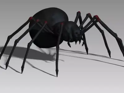 Black spider Low-poly 3D model