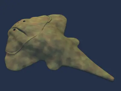 Gemuendina shark 3D model