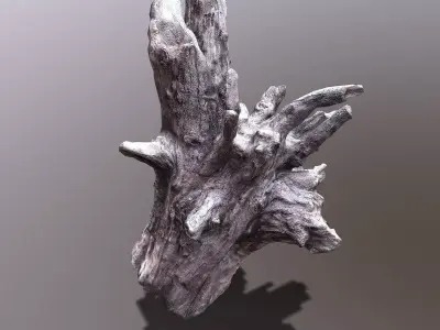 Bark tree part Low-poly 3D model