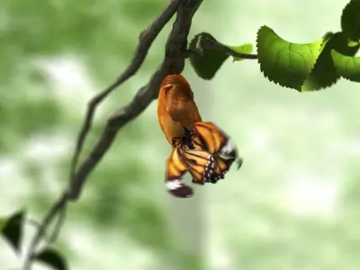 butterfly broken chrysalis 3D model