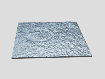 Astronaut footprint on the Moon-3D print Low-poly 3D model