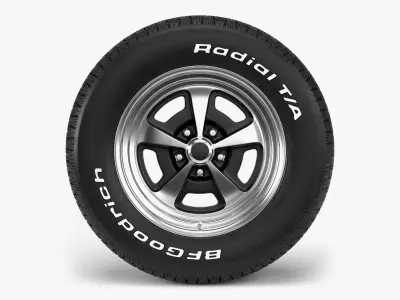 BFGoodrich Magnum Combo 3D model