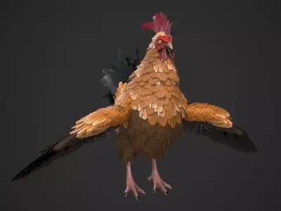 Chicken Rooster Low-poly 3D model
