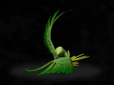 Parakeet parrot in flight 3D model