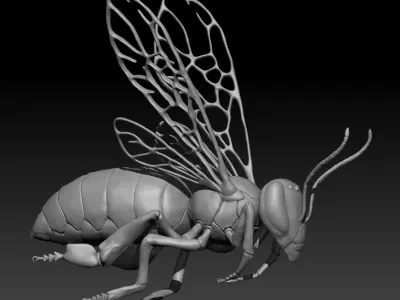 Honey bee in flight Free 3D model