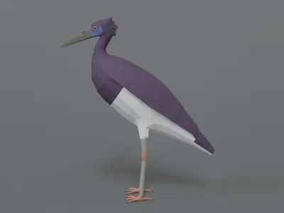 Low Poly Cartoon Abdim Stork Low-poly 3D model