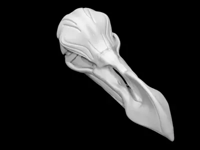 Dodo skull Low-poly 3D model