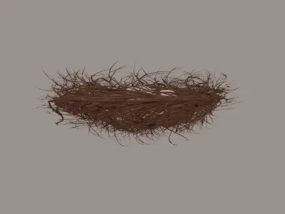 Bird Nest 3D model