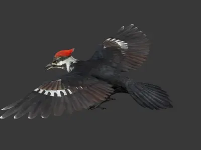 woodpecker Low-poly 3D model