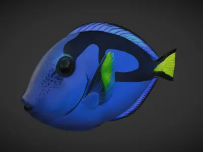 Fish Paracanthurus hepatus 1 Low-poly 3D model