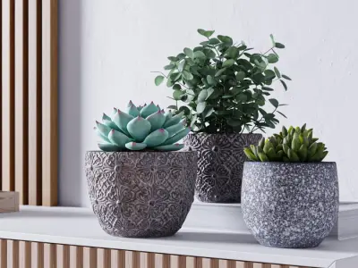  Small Floral Ceramic Pot Models 