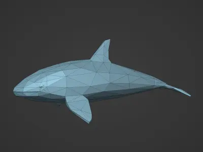 LowPoly killer whale  Low-poly 3D model