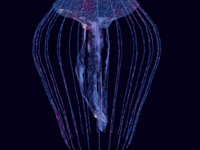 stylized glowing jellyfish Low-poly 3D model