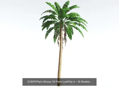 EVERYPlant African Oil Palm LowPoly Bundle --64 Models-- 3D Model Collection