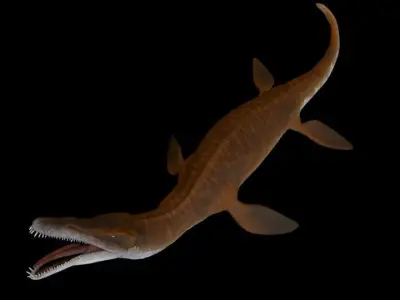 Pliosaurus Pack Low-poly 3D model