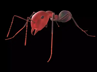 3D lowpoly Model of an Ant  Ready to use  Low-poly 3D model