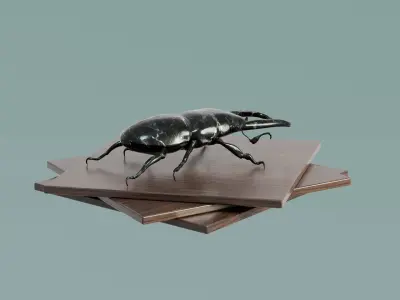 House Decoration Stag Beetle Statue Low-poly 3D model
