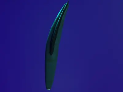 Haikouichthys Extinct Cambrian Fish Free low-poly 3D model