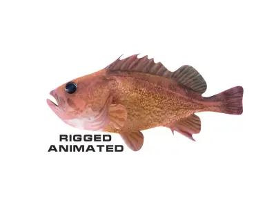 Low-Poly Honeycomb Rockfish Animated  Low-poly 3D model