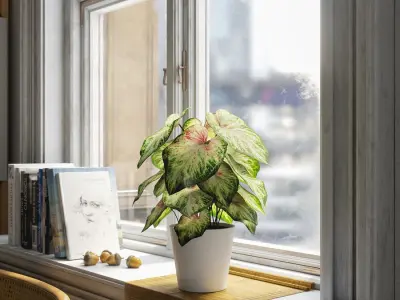  Caladium Potted Plant Model, Pale Green 