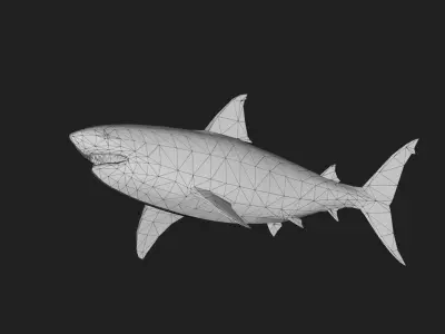 Greatwhiteshark Low-poly 3D model