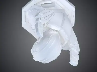 Cybernetic Warlord Bust Sci-Fi Commander Statue PM-391 3D print model