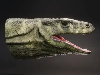 Komodo Dragon 3D model