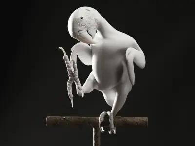 Realistic 3D model of Macaw with texture pack 3D model