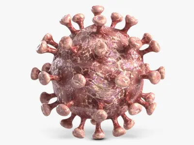 Coronavirus 2 COVID-19 3D model