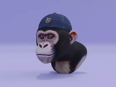 Realistic Monkey Head in a Cap Free low-poly 3D model